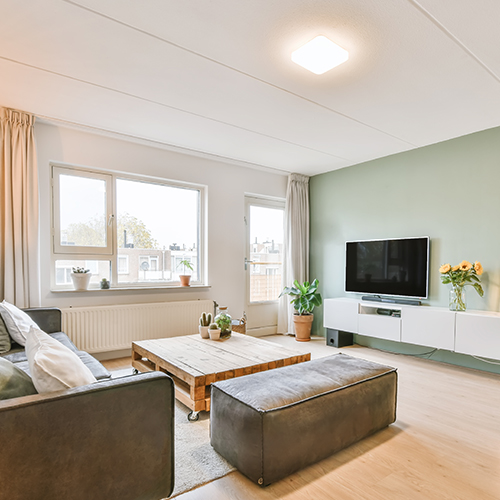 living room interior.jpg